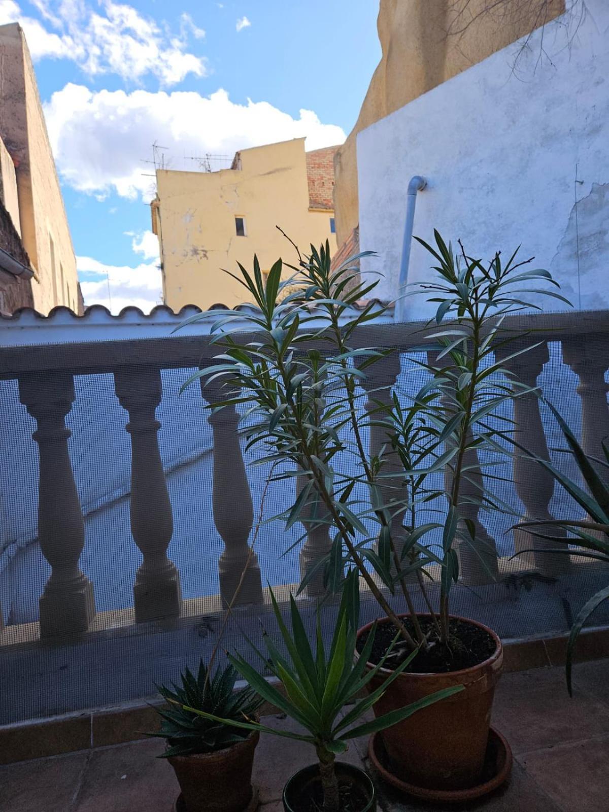 Apartamento River Ebro Móra d'Ebre (Mora de Ebro)